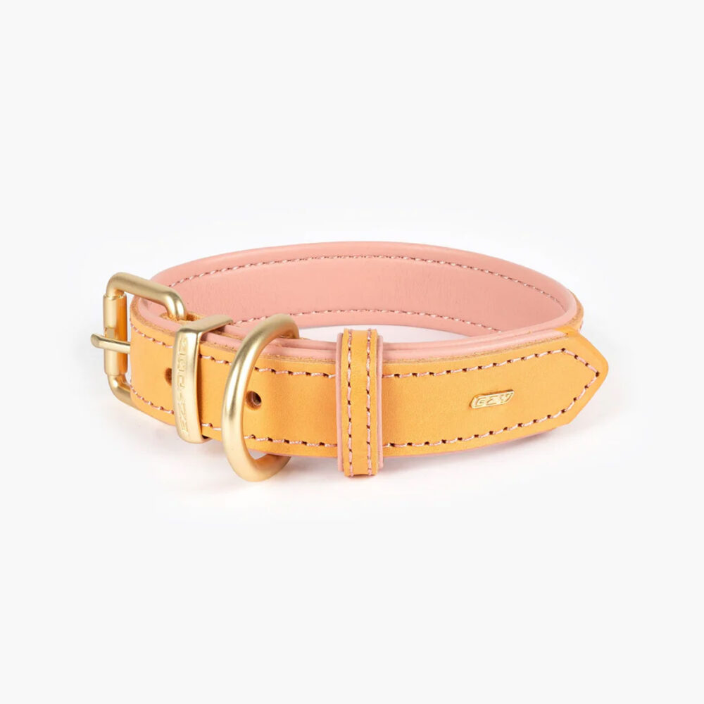 Dog collar